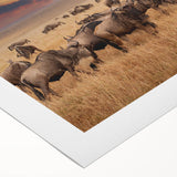 Rolled canvas showcasing vibrant and colorful animal designs, ideal for home decor. Packaged securely in a cardboard tube, perfect for gifting or storage.