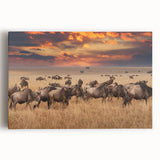 Stretched canvas artwork depicting a vibrant design of various animals, showcasing intricate patterns and bold colors, ideal for enhancing home decor with a nature theme.