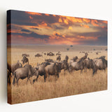 Stretched canvas artwork depicting a colorful animal design, showcasing vibrant hues and intricate details, ideal for enhancing home decor and artistic expression.
