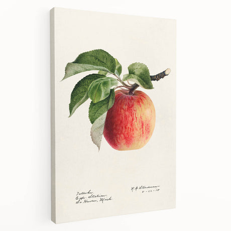 Large art depicting assorted fruits in vibrant colors on a stretched canvas, ideal for kitchen wall decor.