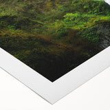 Rolled canvas showcasing a vibrant landscape bridge design, featuring rich colors and intricate details, elegantly packaged in a protective cardboard tube for art enthusiasts.