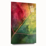 Large abstract wall art depicting close-up floral designs in vibrant colors on acrylic glass.
