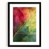 Extra large framed abstract art print featuring textured, colorful floral patterns, ideal for living room decor.