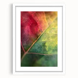 Abstract art print of close-up floral designs in soft pink and white tones, framed in white.
