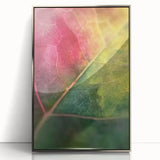 Mid-century modernist art featuring close-up floral imagery in soft pastel shades, displayed in a silver-framed acrylic.