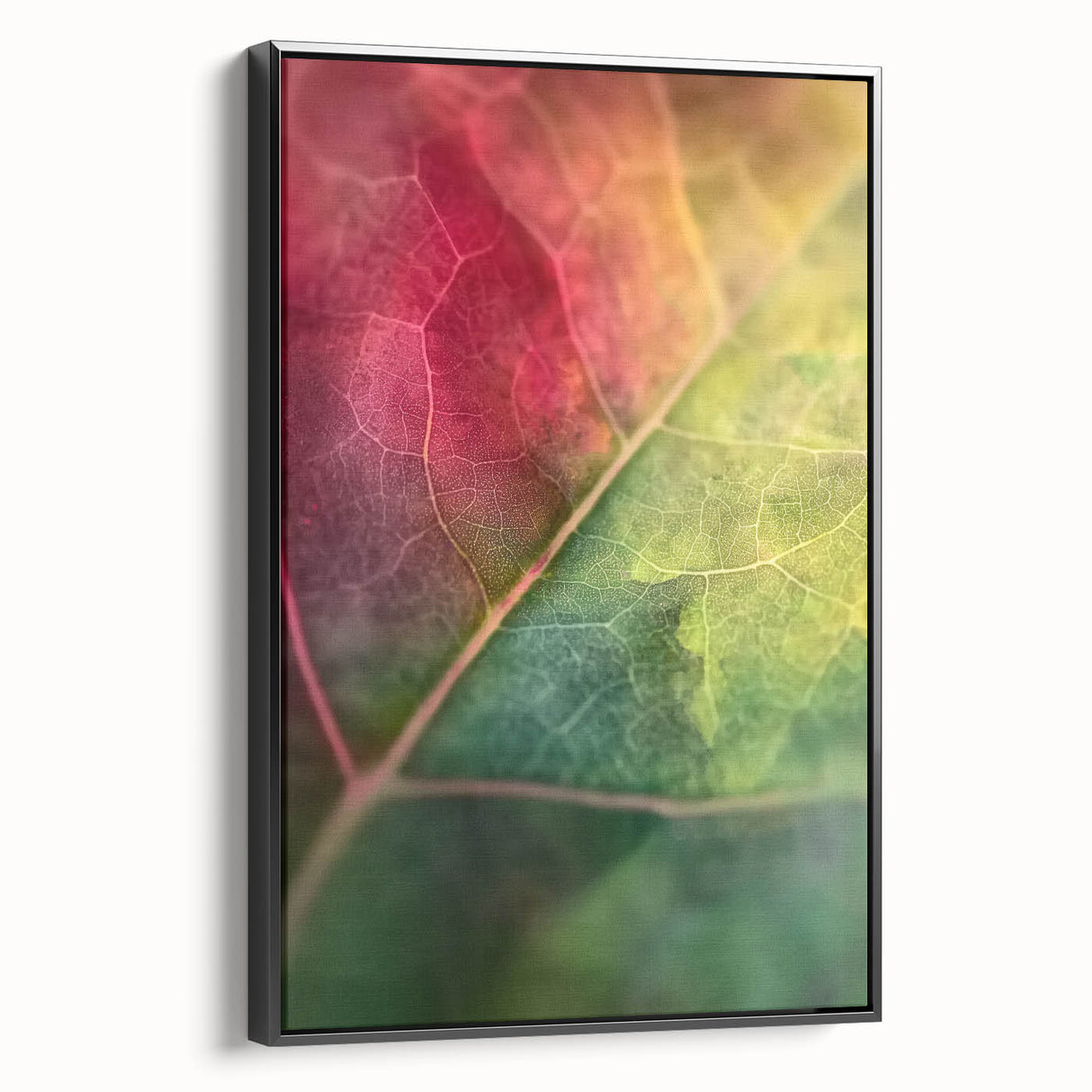 Black and white framed canvas featuring a close-up floral design, ideal for bedroom wall art in a vintage style.