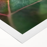 Art deco poster featuring close-up floral designs in pastel shades on rolled canvas, suitable for dining room wall art.