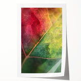 Close-up floral art on rolled print, featuring soft pink and white tones, ideal for dining room or bathroom wall decor.