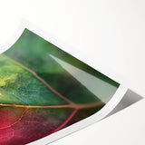 Extra large wall art featuring line art flowers in black on white, rolled print, ideal for large living room decor.