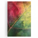 Black and white close-up floral photograph on stretched canvas, suitable for kitchen wall art.