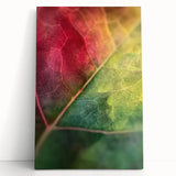 Black and white floral close-up on stretched canvas, suited for kitchen wall art or bedroom ambiance.