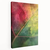 Close-up floral image in vibrant red and green tones on a stretched canvas, suitable for kitchen wall art.