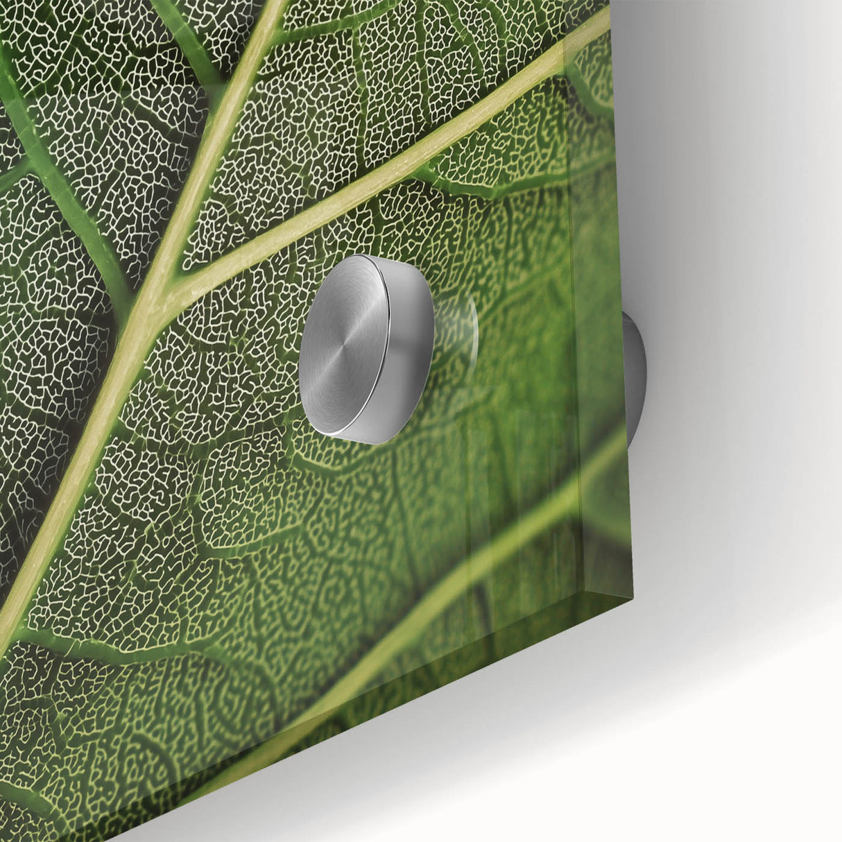 Close-up of green leaves on acrylic glass in a mid-century modernist style, ideal for dining room art.