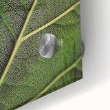 Close-up of green leaves on acrylic glass in a mid-century modernist style, ideal for dining room art.