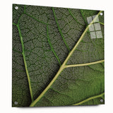 Close-up of green leaves on acrylic glass, ideal for bedroom or dining room decor.