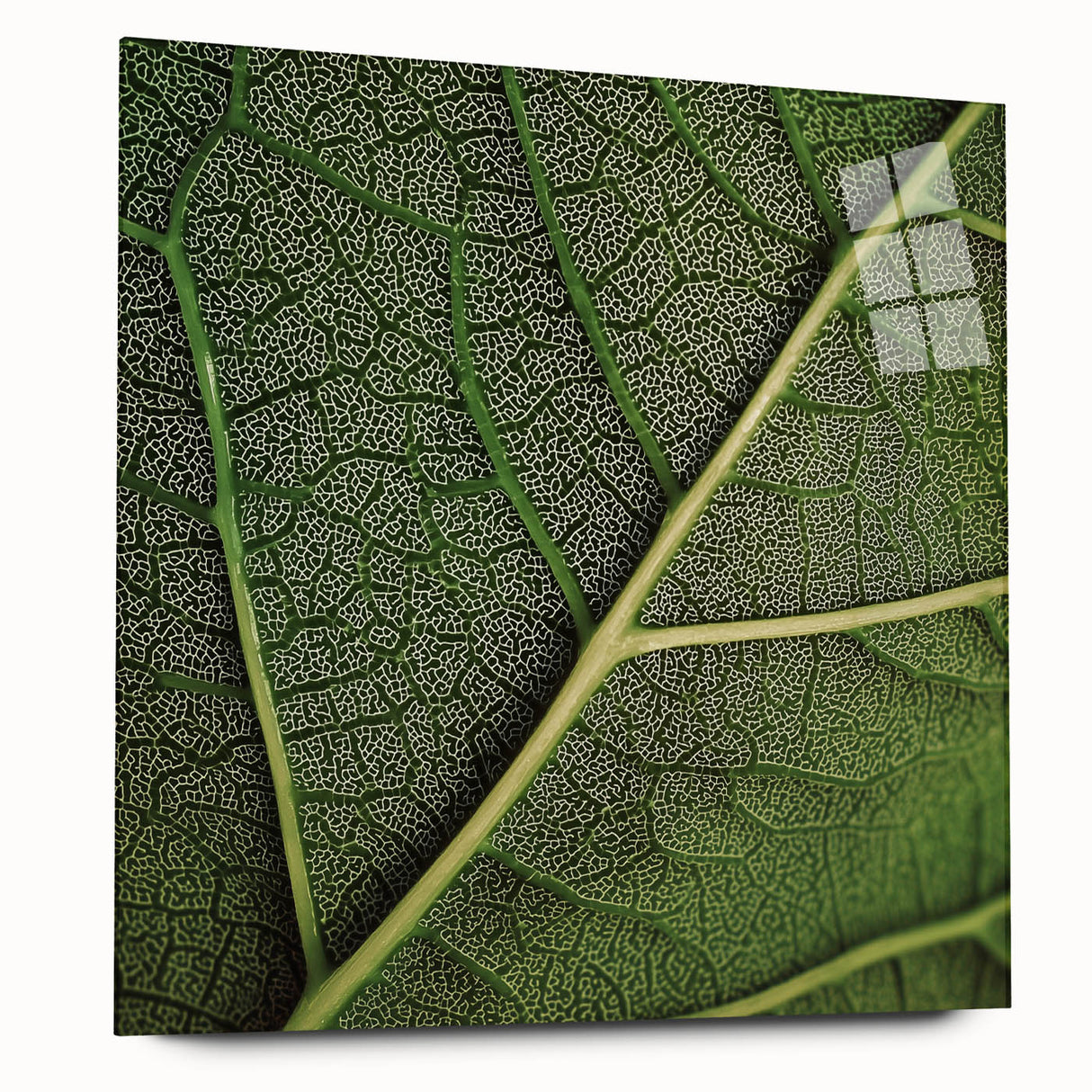 Close-up of green leaves printed on acrylic glass, ideal for bedroom or dining room decor.