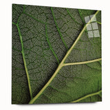 Close-up of green leaves printed on acrylic glass, ideal for bedroom or dining room decor.