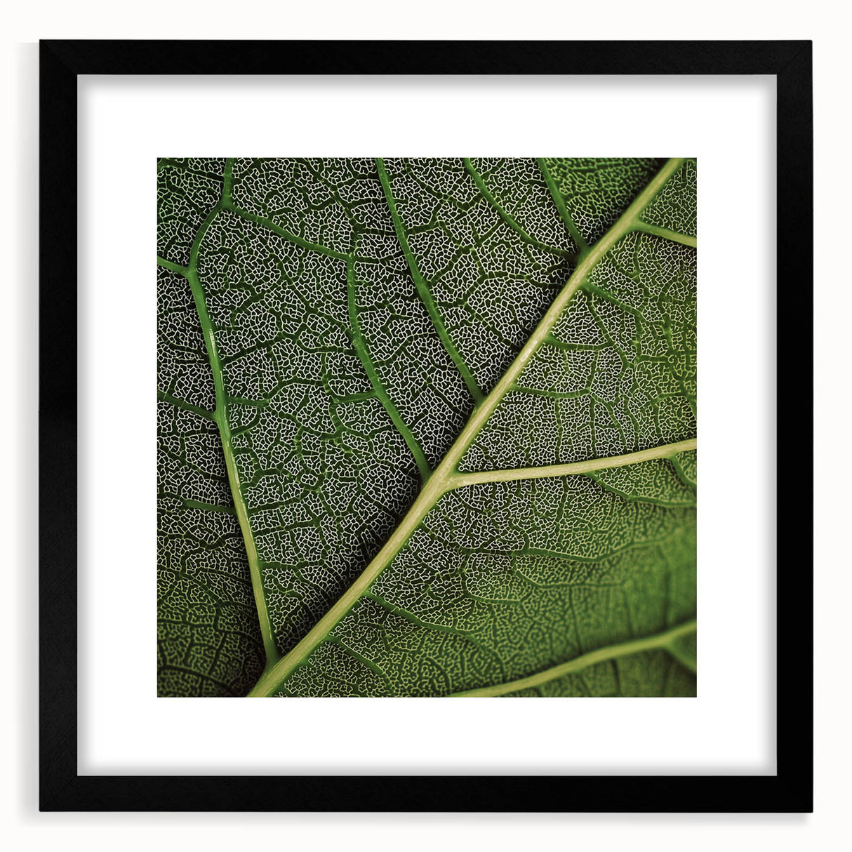Extra large abstract art print of colorful, textured leaves, framed in black, suitable for living room decor.