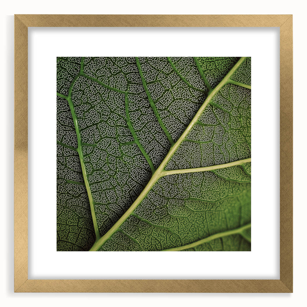 Extra large framed abstract art print featuring close-up textured leaves in green and gold tones.