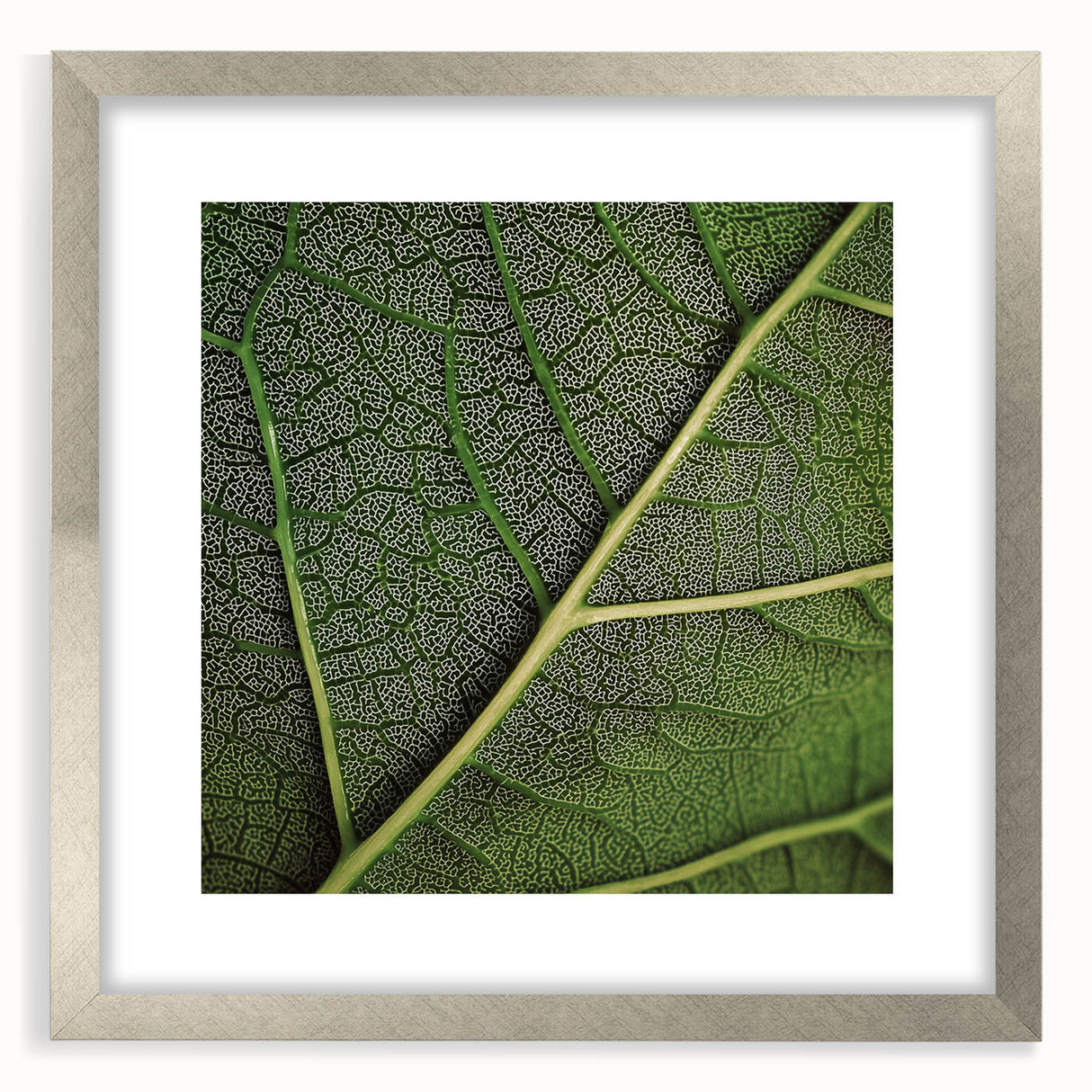 Close-up of textured leaves abstract art print in muted green and brown, framed in silver, suitable for bedroom decor.