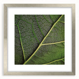 Close-up of textured leaves abstract art print in muted green and brown, framed in silver, suitable for bedroom decor.