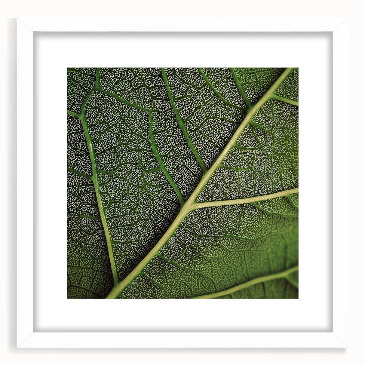 Abstract art print of close-up leaves in muted green tones, framed in white, suitable for dining room or bedroom decor.