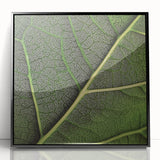 Large abstract wall art featuring close-up leaves in muted green tones, framed in black acrylic.