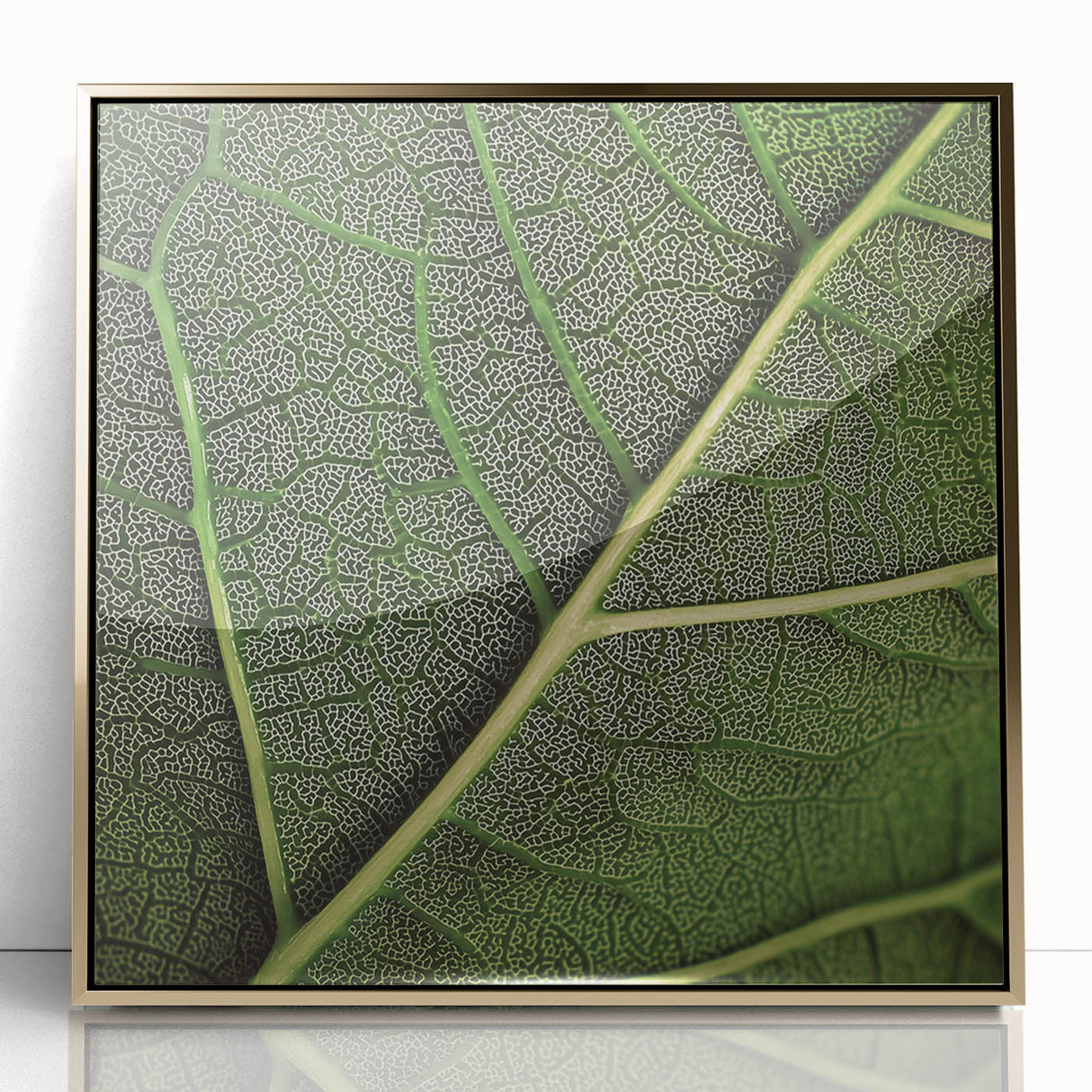 Close-up of leaves in gold acrylic, framed, featuring mid-century modernist style, suitable for modern nursery decor.