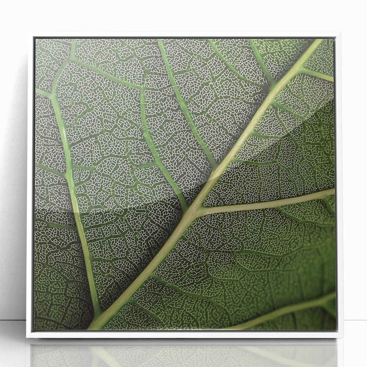 Close-up of green leaves in a white framed acrylic print, ideal for modern nursery wall decor.