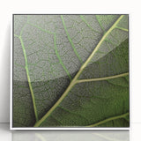 Close-up of green leaves in a white framed acrylic print, ideal for modern nursery wall decor.