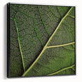 Black and white close-up of leaves on a framed canvas, suitable for bedroom wall decor.