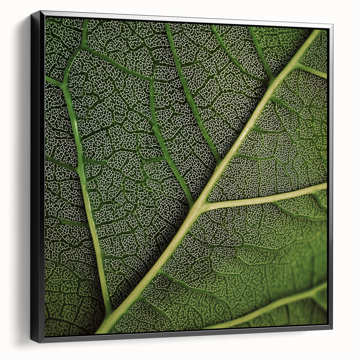 Black and white close-up of leaves on a framed canvas, suitable for bedroom wall decor.