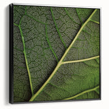 Black and white close-up of leaves on a framed canvas, suitable for bedroom wall decor.