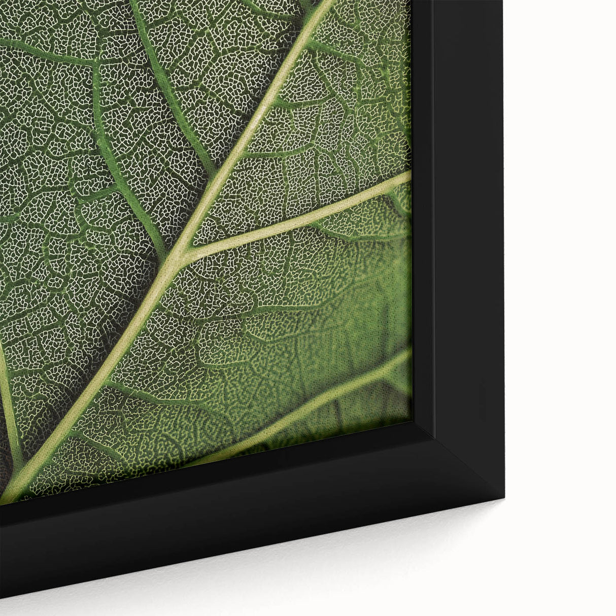 Close-up of textured leaves in black, framed canvas, ideal for extra large living room wall.