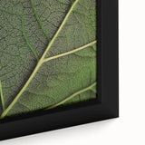 Close-up of textured leaves in black, framed canvas, ideal for extra large living room wall.
