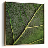 Framed canvas featuring close-up of leaves in silver and gold, ideal for bedroom wall art.
