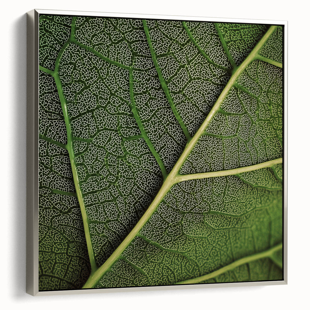 Close-up of green leaves in a silver framed canvas, ideal for enhancing a modern living room decor.