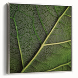 Close-up of green leaves in a silver framed canvas, ideal for enhancing a modern living room decor.