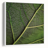 Vintage poster art of close-up leaves in vibrant green on a white framed canvas, ideal for living room decor.
