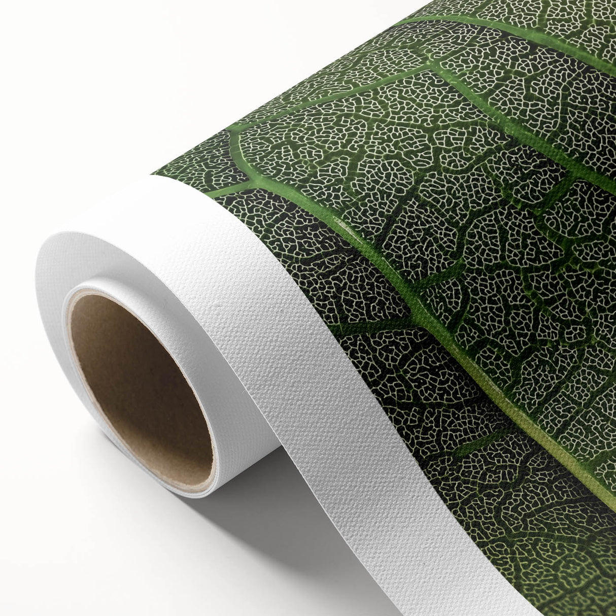 Art deco poster of close-up leaves in green tones on rolled canvas, ideal for nursery wall art.