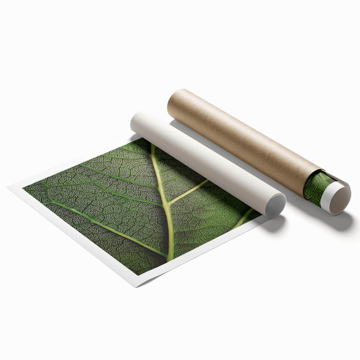 Close-up of green leaves in a rolled print, ideal for classy bathroom wall art.