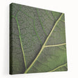 Close-up image of green leaves on a large stretched canvas, ideal for kitchen wall art.