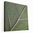 Close-up image of green leaves on a large stretched canvas, ideal for kitchen wall art.