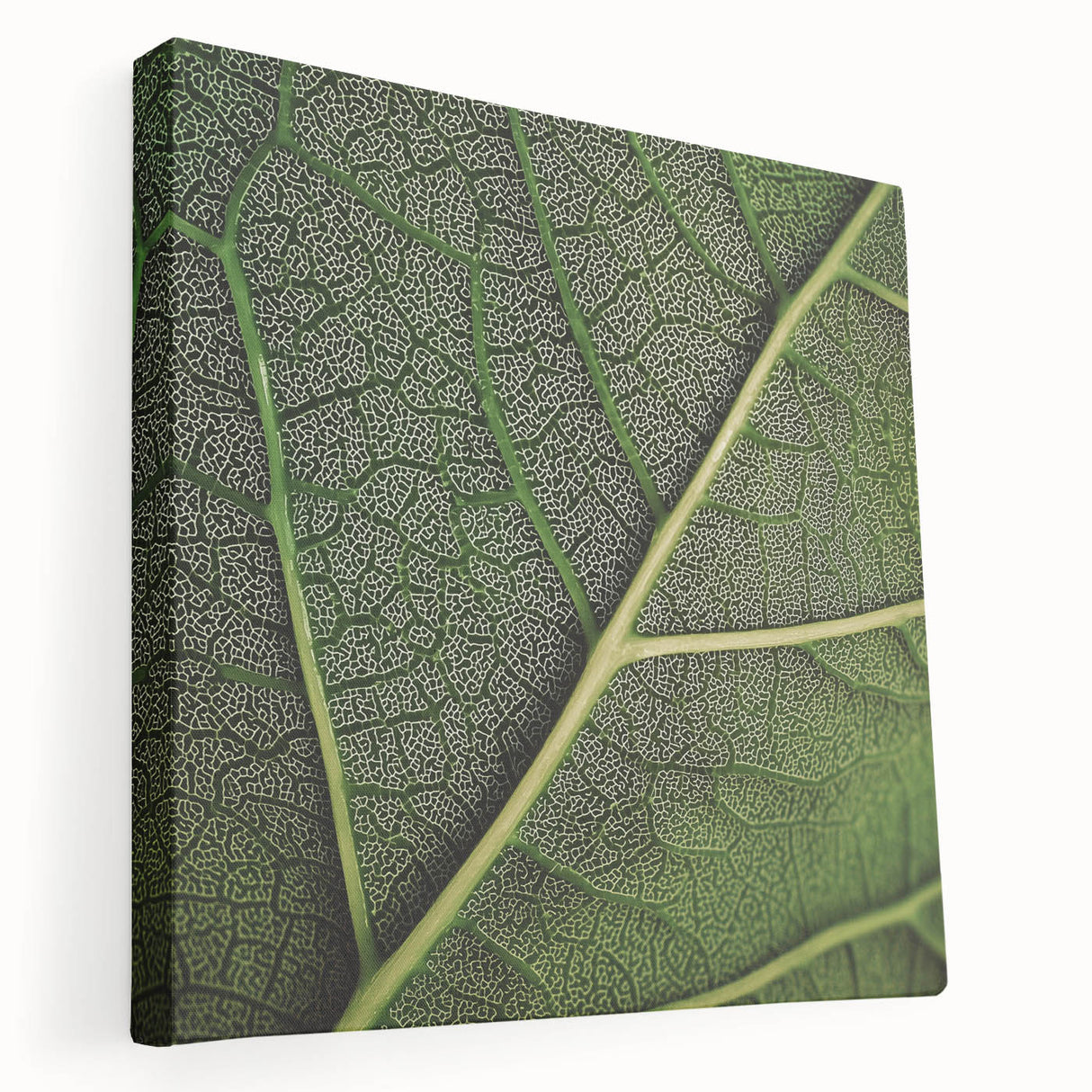 Close-up image of green leaves on a large stretched canvas, ideal for kitchen wall art.