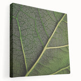 Close-up image of green leaves on a large stretched canvas, ideal for kitchen wall art.