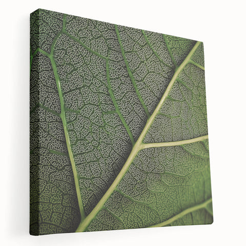 Close-up image of green leaves on a large stretched canvas, ideal for kitchen wall art.