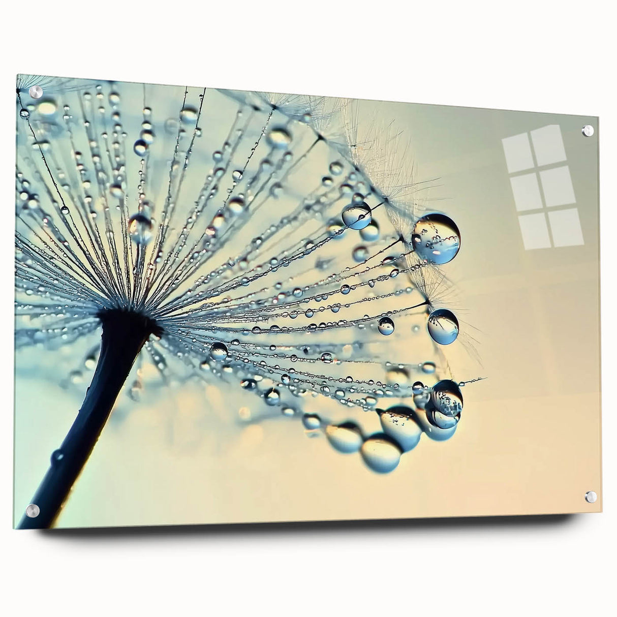 Close-up of water droplets on a leaf, printed on acrylic glass, in soft green and blue tones.