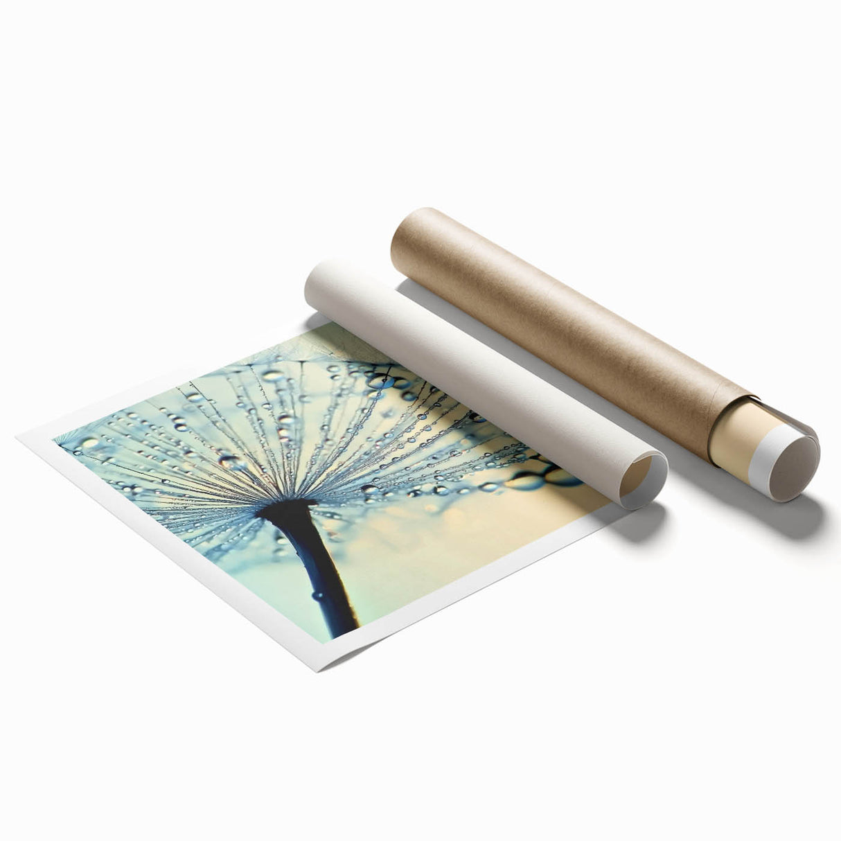 Close-up floral art in soft pastel shades on extra large rolled canvas, ideal for classy bathroom wall art.