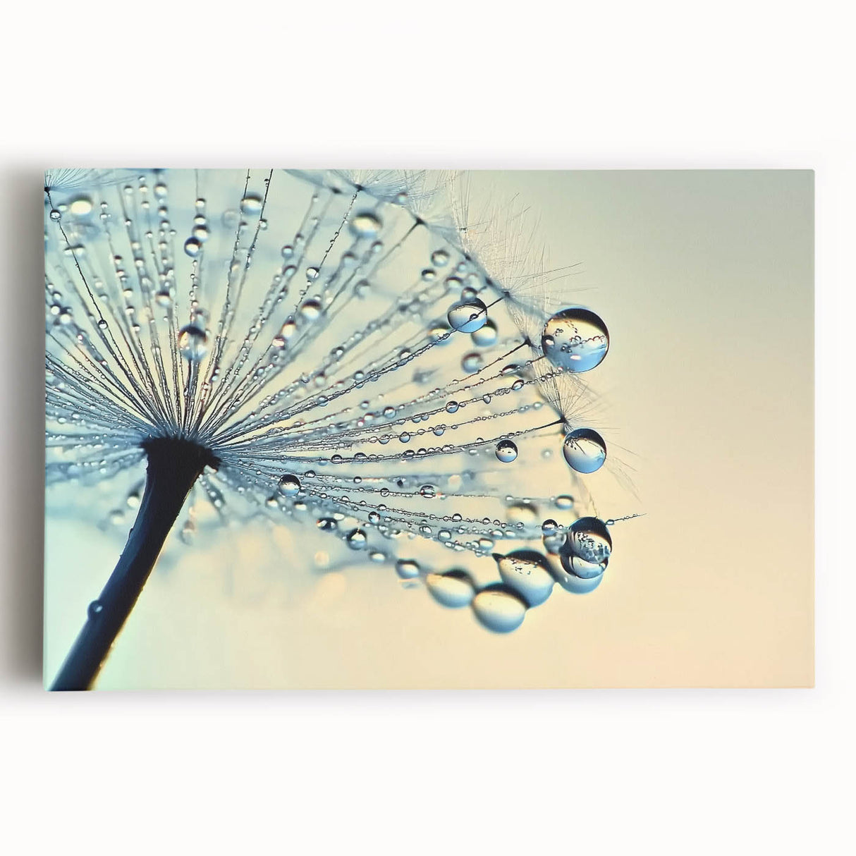 Black and white close-up image of water droplets on a leaf, printed on large stretched canvas, ideal for kitchen wall art.
