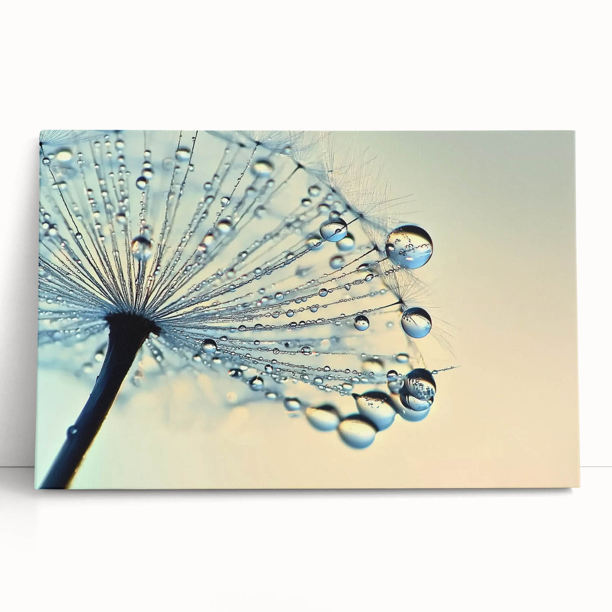 Black and white close-up photo of water droplets on a leaf, printed on large stretched canvas, ideal for kitchen wall art.